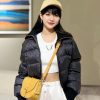 ☀Louis Vuitton 路易威登LV ICONIC TRESOR 耳环耳钉M01510