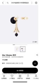☑️DIOR迪奥不对称黑色珍珠巴黎铁塔耳钉耳环