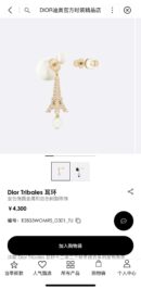 ☑️DIOR迪奥不对称黑色珍珠巴黎铁塔耳钉耳环