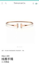 光面 ☀️Tiffany&co 蒂芙尼 经典款T字系列 光面银色玫瑰金双T手镯 ☀️
