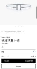 带钻 ☀️Tiffany&co 蒂芙尼 经典款T字系列 带钻银色玫瑰金双T手镯 ☀️