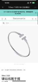 带钻 ☀️Tiffany&co 蒂芙尼 经典款T字系列 带钻银色玫瑰金双T手镯 ☀️