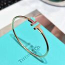 粉钻款☀️Tiffany&co 蒂芙尼 经典款T字系列 绿松石带钻玫瑰金双T手镯 ☀️