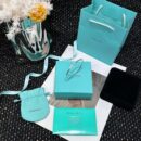 ☀️绿松石款☀️Tiffany&co 蒂芙尼 经典款T字系列 绿松石带钻银色双T手镯 ☀️