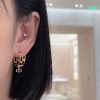 ☑️DIOR迪奥CD半圆圈耳环耳钉