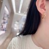 ☑️DIOR迪奥CD半圆圈耳环耳钉