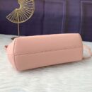 Fendi 小号 Fendigraphy 小牛皮流浪包 棕色