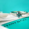 i1637083423_7434_7.jpg ☑️TIFFANY& CO.蒂芙尼莫桑钻石戒