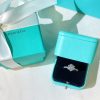 ☑️TIFFANY& CO.蒂芙尼莫桑钻石戒