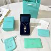 TIFFANY& CO.蒂芙尼【新春限量】Fleur de Lis 钥匙吊坠项链