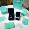 ☑️TIFFANY&Co.蒂芙尼四叶草红宝石项链 耳钉