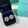 ☑️TIFFANY&Co.蒂芙尼四叶草红宝石项链 耳钉