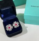 ☑️TIFFANY&Co.蒂芙尼四叶草红宝石项链 耳钉