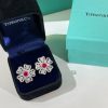 ☑️TIFFANY&Co.蒂芙尼四叶草红宝石项链 耳钉