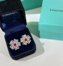☑️TIFFANY&Co.蒂芙尼四叶草红宝石项链 耳钉