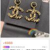 ☑️CHANEL香奈儿双c豹纹耳钉耳环