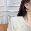 ☑️CHANEL香奈儿双c豹纹耳钉耳环
