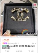 ☑️CHANEL香奈儿双c水钻胸针