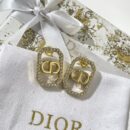 ☑️DIOR迪奥CD珍珠星星项链 耳钉