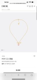 ☑️DIOR迪奥CD粉钻蜜蜂项链