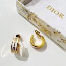 ☑️DIOR迪奥字母耳钉耳环