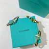 i1654006242_8316_3.jpg Tiffany&co 蒂芙尼 经典款T字系列 光面金色银色玫瑰金双T手镯
