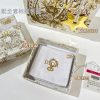 ☑️DIOR迪奥CD耳夹耳环