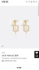 ☑️DIOR迪奥方形星星大小珍珠耳钉耳环