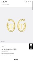 ☑️DIOR迪奥CD耳钉耳环