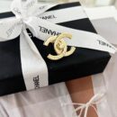 ☑️CHANEL香奈儿金色双c胸针