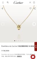 ☑️卡地亚Cartier丛林系列 光面豹子头🐆项链