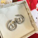 ☑️DIOR迪奥银色CD耳钉耳环