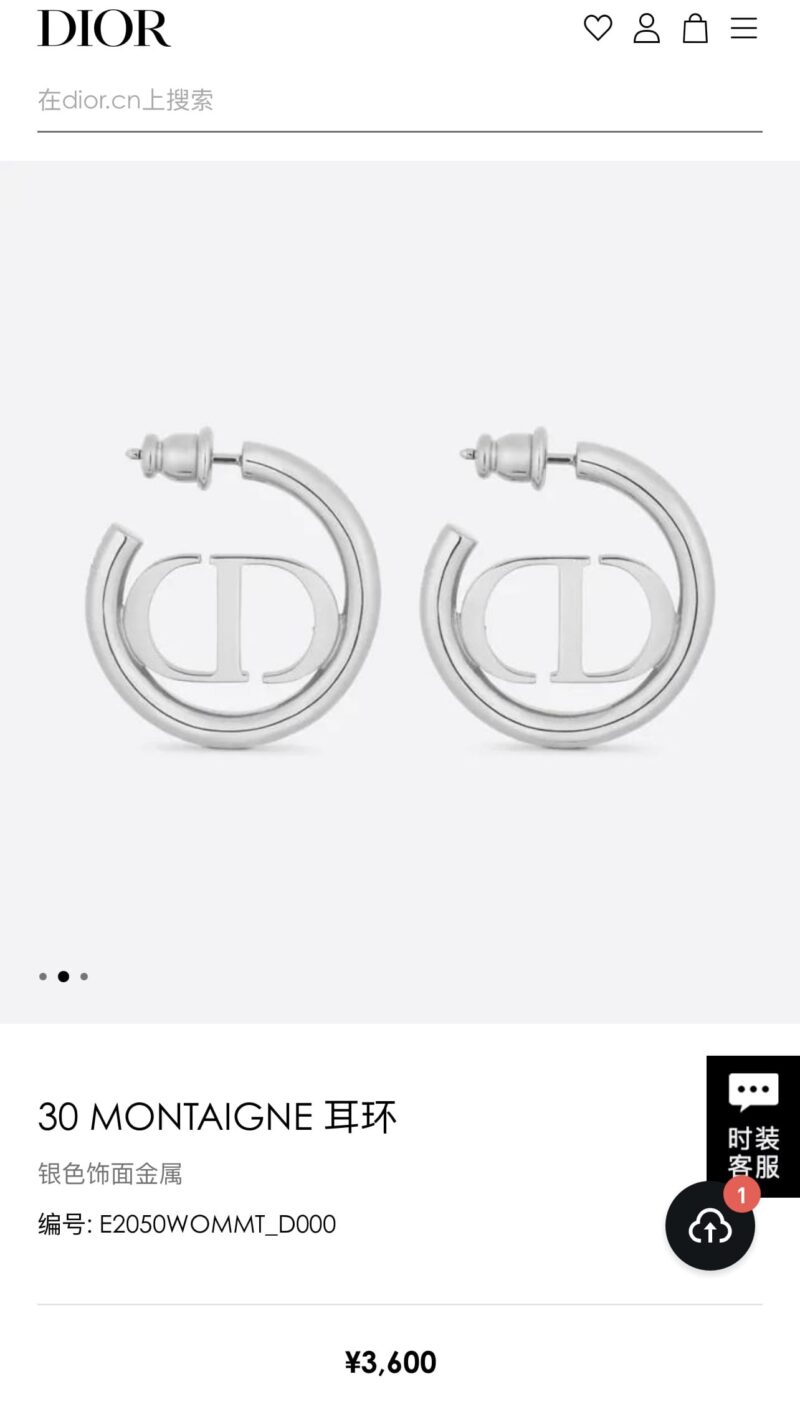☑️DIOR迪奥银色CD耳钉耳环 - Image 5