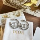 ☑️DIOR迪奥银色CD耳钉耳环