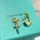☑️TIFFANY&Co.蒂芙尼T1圆形耳环耳钉