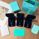 ☑️TIFFANY&Co.蒂芙尼X扣环双环圈形项链