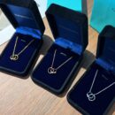 ☑️TIFFANY&Co.蒂芙尼X扣环双环圈形项链