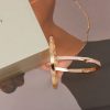 尚美巴黎 CHAUMET LIENS EVIDENCE 誓言手镯