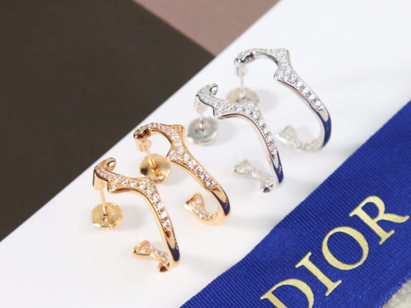 ☑️DIOR迪奥满钻蔓藤耳钉耳环