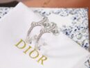 ☑️DIOR迪奥满钻蔓藤耳钉耳环