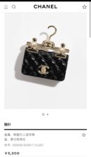 ☑️CHANEL香奈儿双c衣架包包胸针