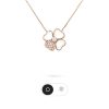 wsxc1677154940138_2.jpg Van Cleef &Arpels 梵克雅宝cosmos 四叶草贝母项链
