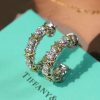 ☑️TIFFANY&Co.蒂芙尼分色交叉耳钉耳环