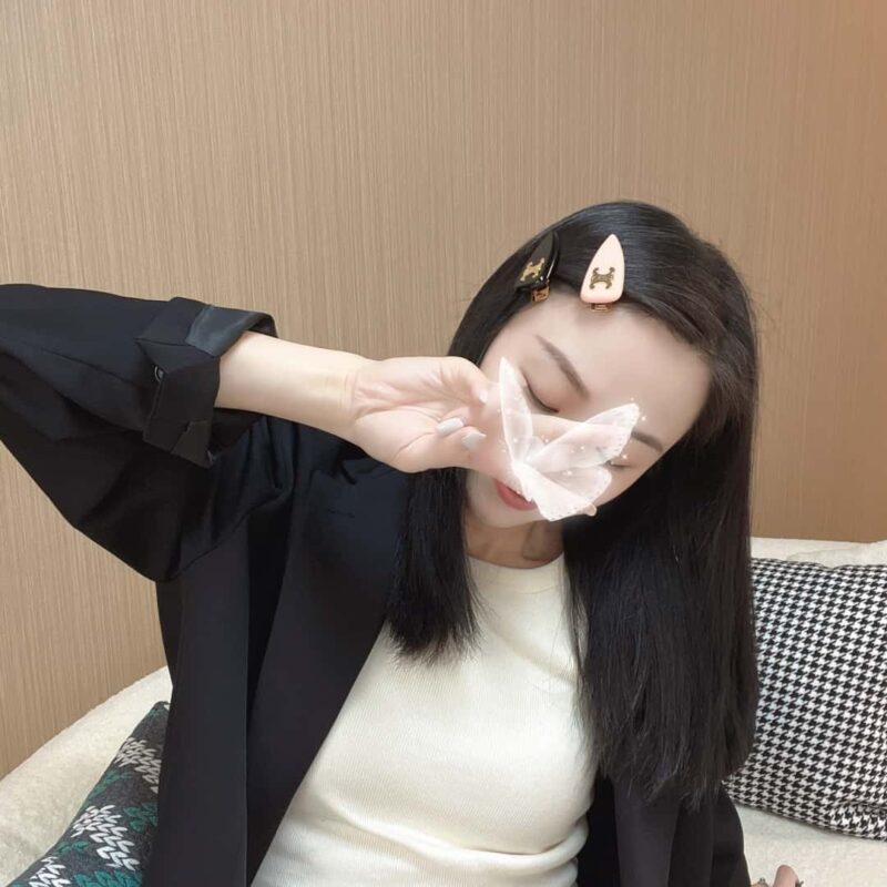 Celine赛琳凯旋门发夹发卡 - Image 4