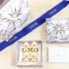 ☑️DIOR迪奥大小珍珠CD耳钉耳环