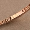 wsxc1680008687240_7.jpg 宝格丽BVLGARI最新系列Serpenti 孔雀石 红宝石蛇形 蛇手镯