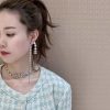 ☑️CHANEL香奈儿双c银色圆钻流苏长款耳钉耳环