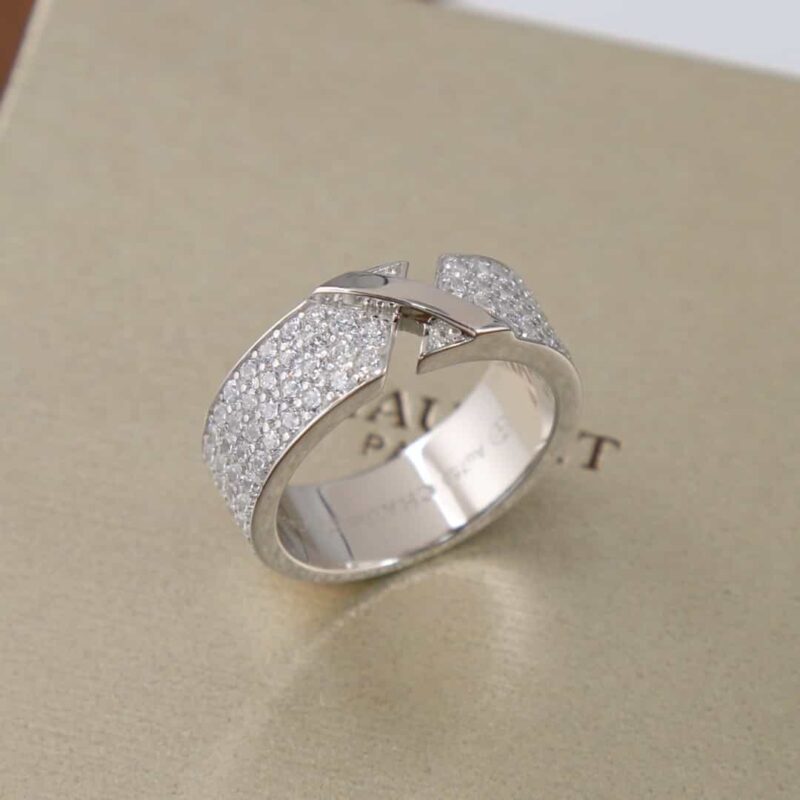 尚美巴黎 CHAUMET 的缘系•一生系列满钻戒指 - Image 10