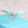wsxc1689261667543_2.jpg ☑️TIFFANY&Co.蒂芙尼Edge系列分色项链