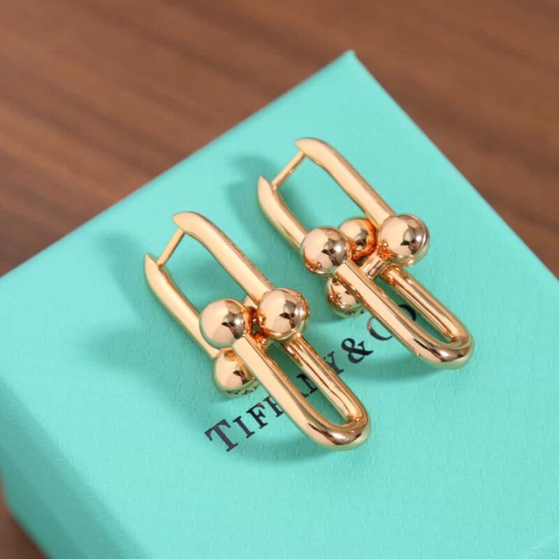 ☑️TIFFANY&Co.蒂芙尼Tiffany HardWear 系列双环马蹄扣耳钉耳环 - Image 10